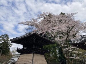 日本の伝統と文化が息づく西教寺