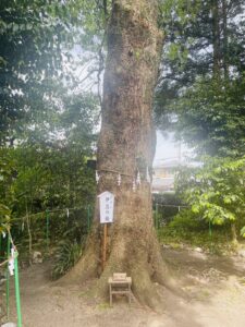 伊豆神社: 縁結びと歴史のパワースポット